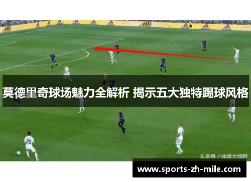 莫德里奇球场魅力全解析 揭示五大独特踢球风格