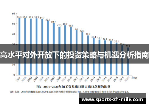 高水平对外开放下的投资策略与机遇分析指南